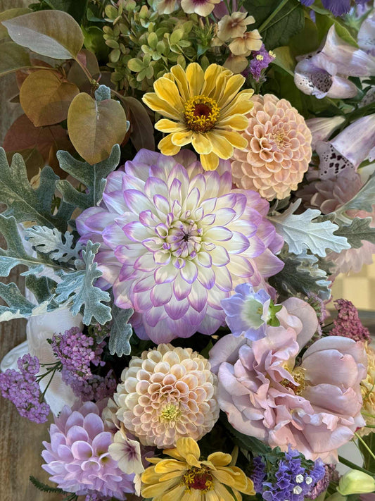 Mikayla Miranda Dahlia